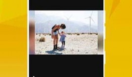 菠萝哥哥爆料视频下载免费,揭秘视频背后的免费下载秘密